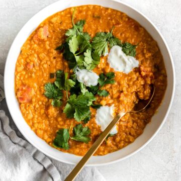 Bowl of coconut red lentil curry with fresh cilantro on top.